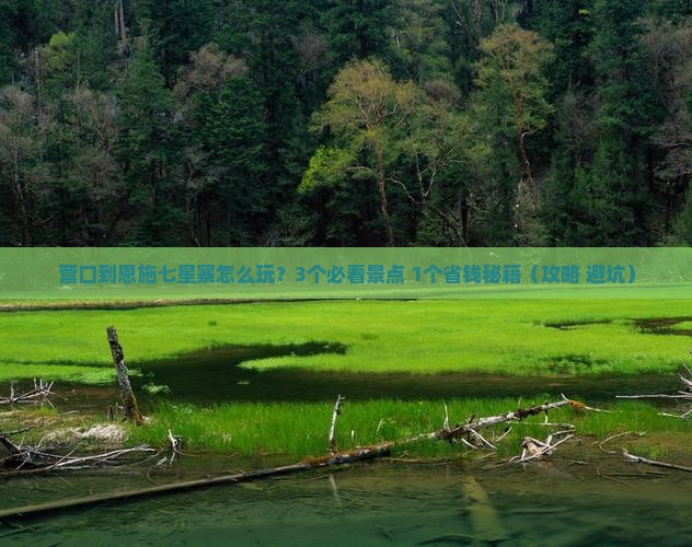 营口到恩施七星寨门票