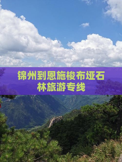 锦州到恩施梭布垭石林旅行社