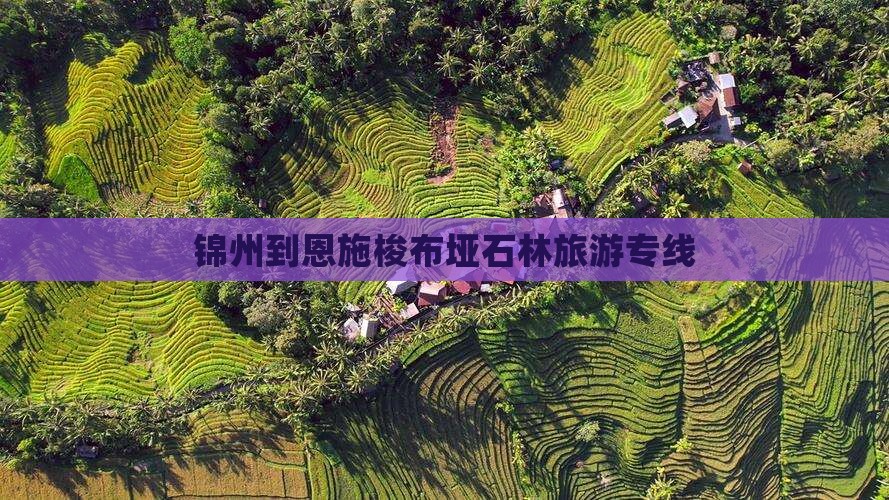 锦州到恩施梭布垭石林旅行社