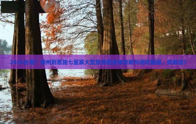 滁州到恩施七星寨大型旅游团