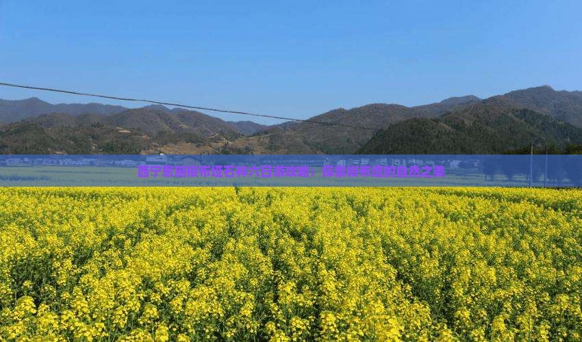 西宁去恩施梭布垭石林六日游