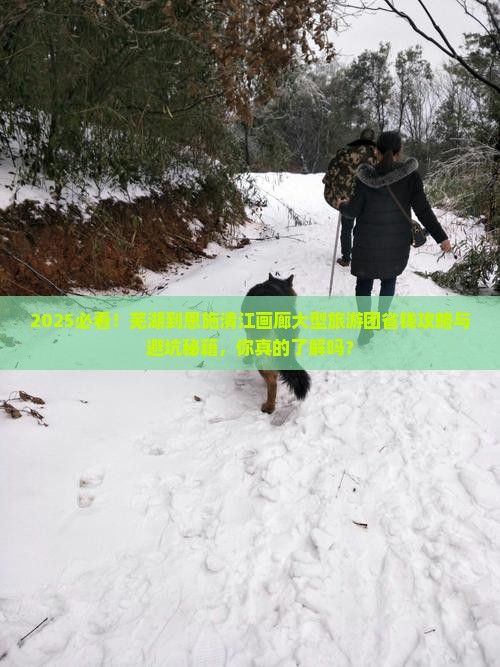 芜湖到恩施清江画廊大型旅游团