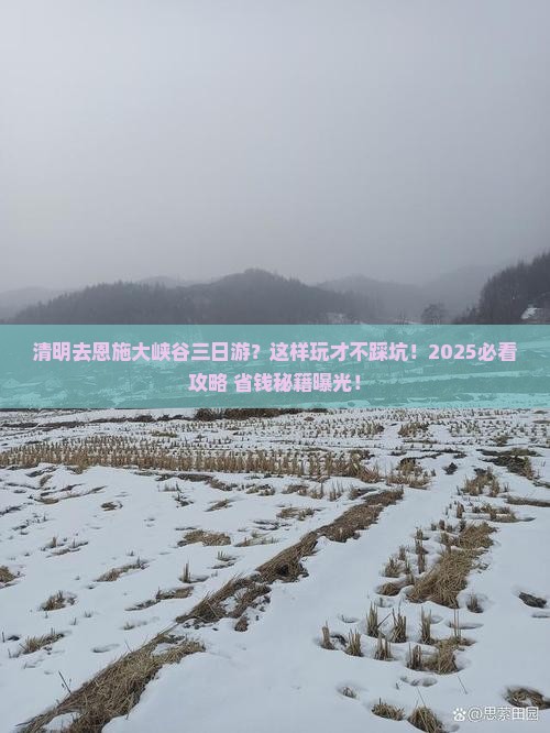 清明节去恩施大峡谷三日游