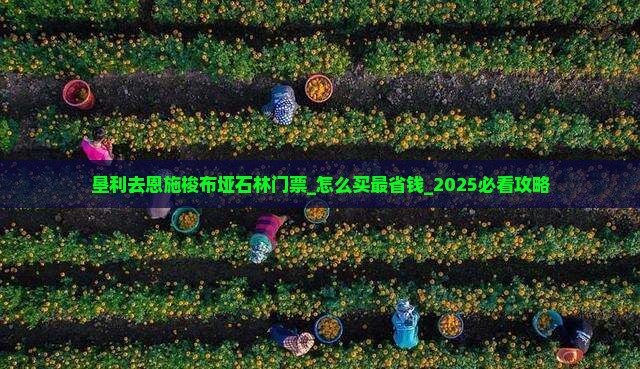 垦利去恩施梭布垭石林门票