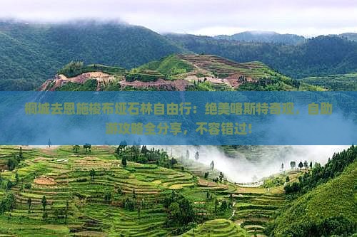桐城去恩施梭布垭石林自由行