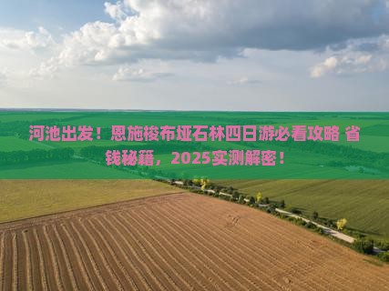 河池去恩施梭布垭石林四日游