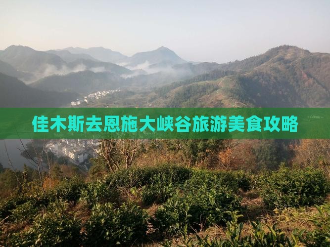 佳木斯去恩施大峡谷旅游小吃