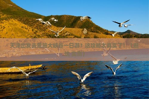 天津到恩施大峡谷一日