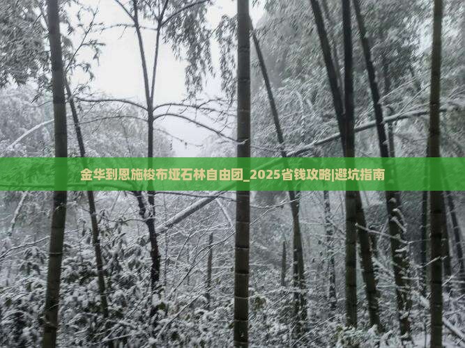 金华到恩施梭布垭石林自由团