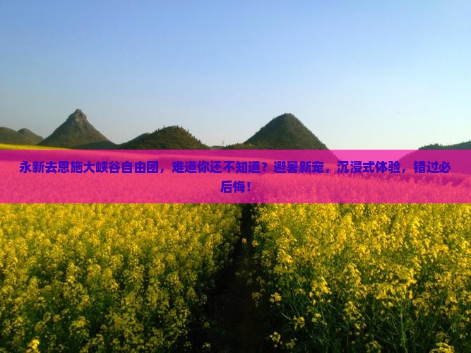 永新去恩施大峡谷自由团