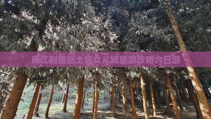 丽江到恩施土家女儿城旅游攻略六日游 丽江到恩施土家女儿城旅游攻略六日游