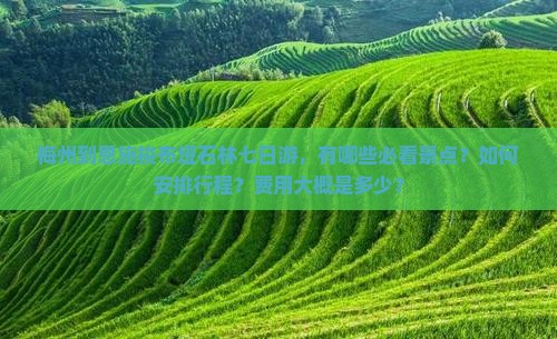 梅州到恩施梭布垭石林七日游，有哪些必看景点？如何安排行程？费用大概是多少？
