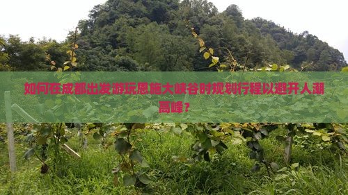 如何在成都出发游玩恩施大峡谷时规划行程以避开人潮高峰？