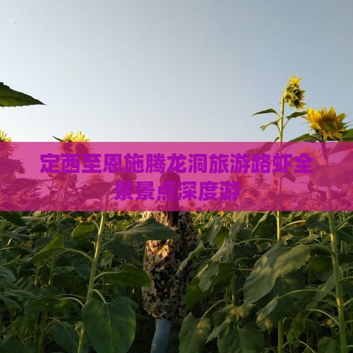 定西至恩施腾龙洞旅游路虾全景景点深度游
