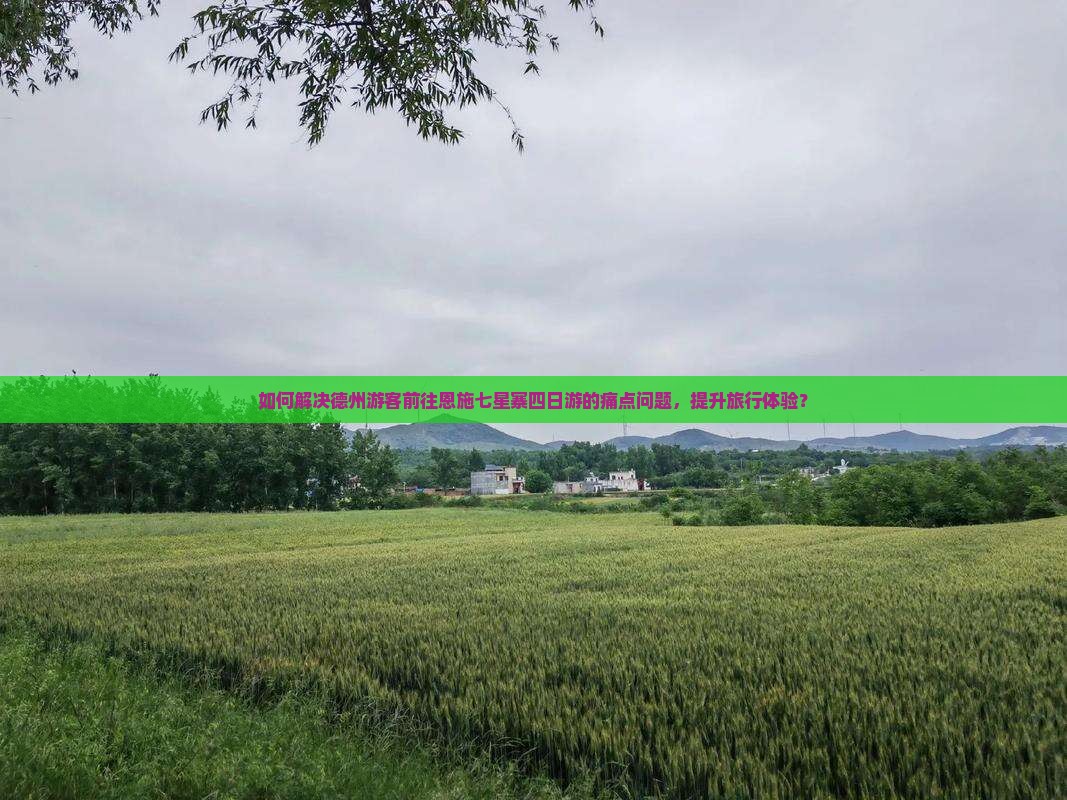 如何解决德州游客前往恩施七星寨四日游的痛点问题，提升旅行体验？