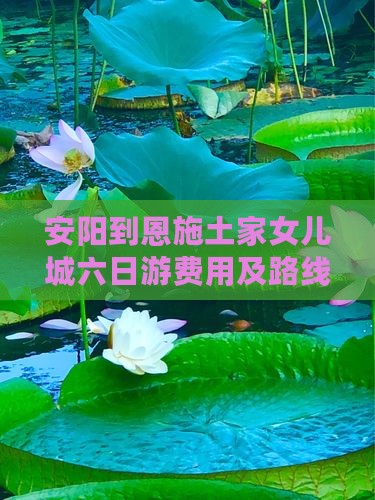 安阳到恩施土家女儿城六日游费用及路线攻略