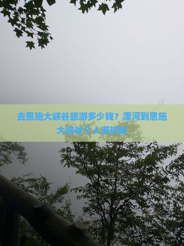 去恩施大峡谷旅游多少钱？漯河到恩施大峡谷个人游攻略