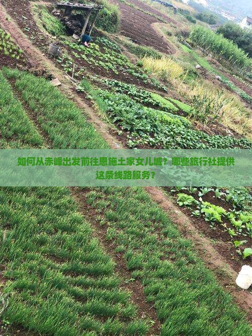 如何从赤峰出发前往恩施土家女儿城？哪些旅行社提供这条线路服务？