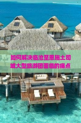 如何解决临沧至恩施土司城大型旅游团面临的痛点问题，提升游客体验？