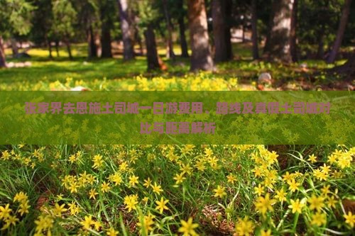 张家界去恩施土司城一日游费用、路线及真假土司城对比与距离解析