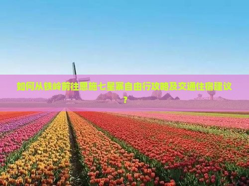 如何从铁岭前往恩施七星寨自由行攻略及交通住宿建议？