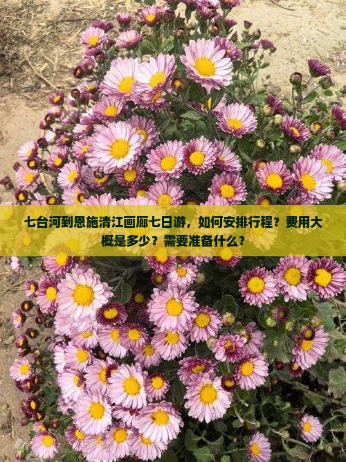 七台河到恩施清江画廊七日游，如何安排行程？费用大概是多少？需要准备什么？