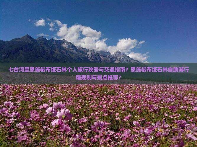 七台河至恩施梭布垭石林个人旅行攻略与交通指南？恩施梭布垭石林自助游行程规划与景点推荐？