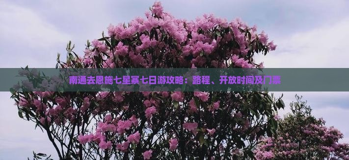南通去恩施七星寨七日游攻略：路程、开放时间及门票
