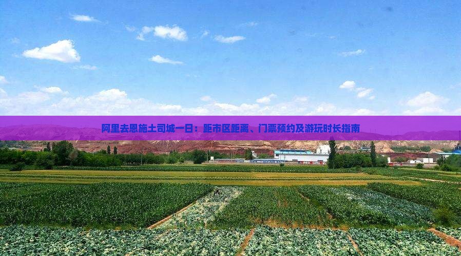 阿里去恩施土司城一日：距市区距离、门票预约及游玩时长指南