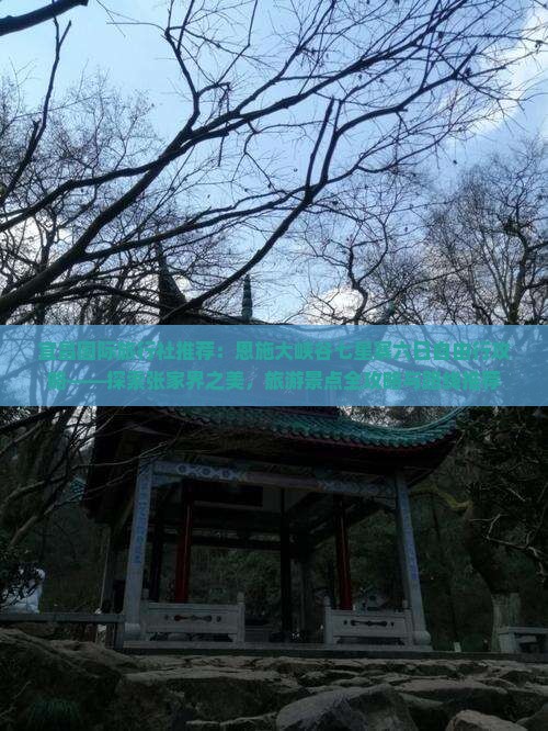 宜昌国际旅行社推荐：恩施大峡谷七星寨六日自由行攻略——探索张家界之美，旅游景点全攻略与路线推荐