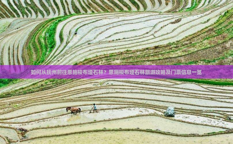 如何从抚州前往恩施梭布垭石林？恩施梭布垭石林旅游攻略及门票信息一览