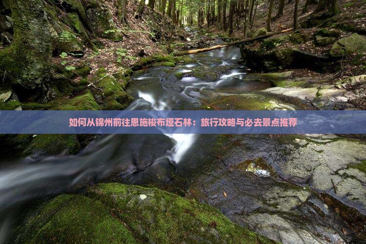 如何从锦州前往恩施梭布垭石林：旅行攻略与必去景点推荐