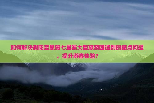 如何解决衡阳至恩施七星寨大型旅游团遇到的痛点问题，提升游客体验？