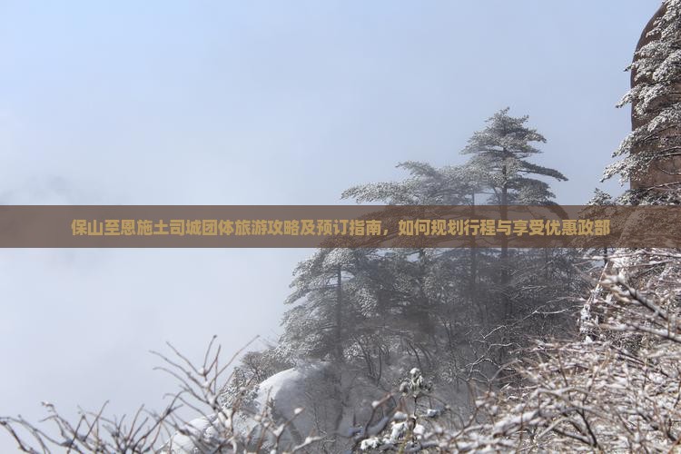 保山至恩施土司城团体旅游攻略及预订指南，如何规划行程与享受优惠政部