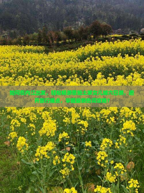如何在内江出发，轻松畅游恩施土家女儿城六日游，避开旅行痛点，掌握最新热词攻略？
