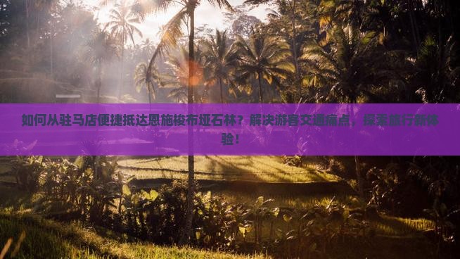 如何从驻马店便捷抵达恩施梭布垭石林？解决游客交通痛点，探索旅行新体验！
