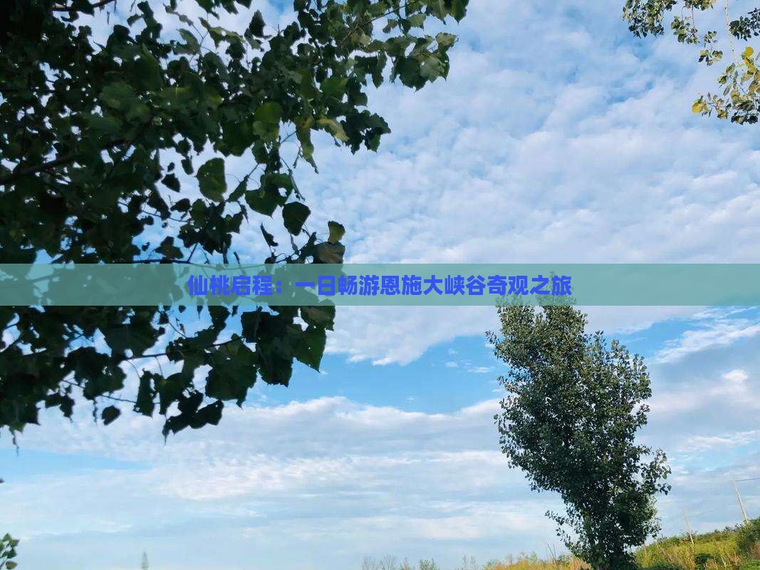 仙桃启程：一日畅游恩施大峡谷奇观之旅