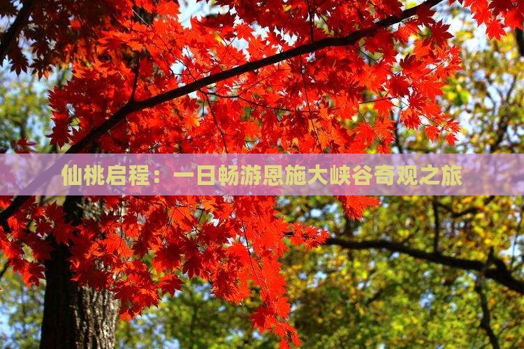 仙桃启程：一日畅游恩施大峡谷奇观之旅