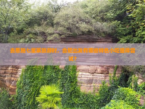 去恩施七星寨旅游时，合肥出发有哪些特色小吃值得尝试？