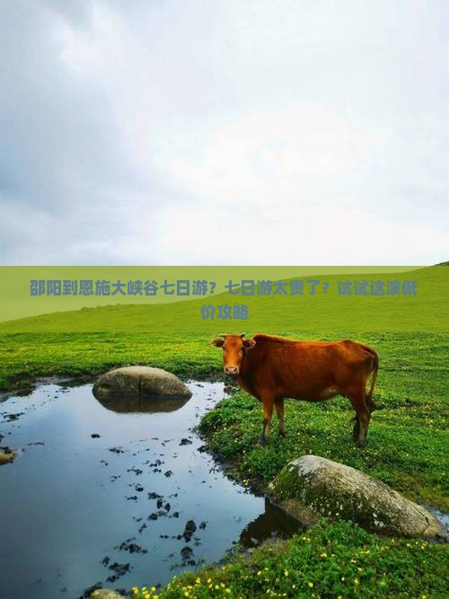邵阳到恩施大峡谷七日游？七日游太贵了？试试这波低价攻略