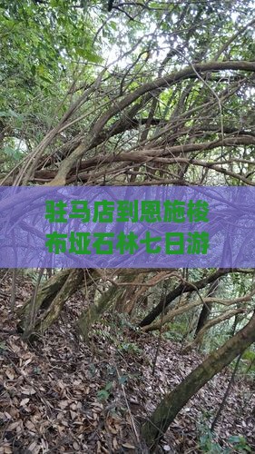 驻马店到恩施梭布垭石林七日游路线及里程