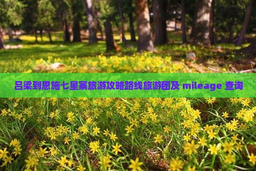 吕梁到恩施七星寨旅游攻略路线旅游团及 mileage 查询