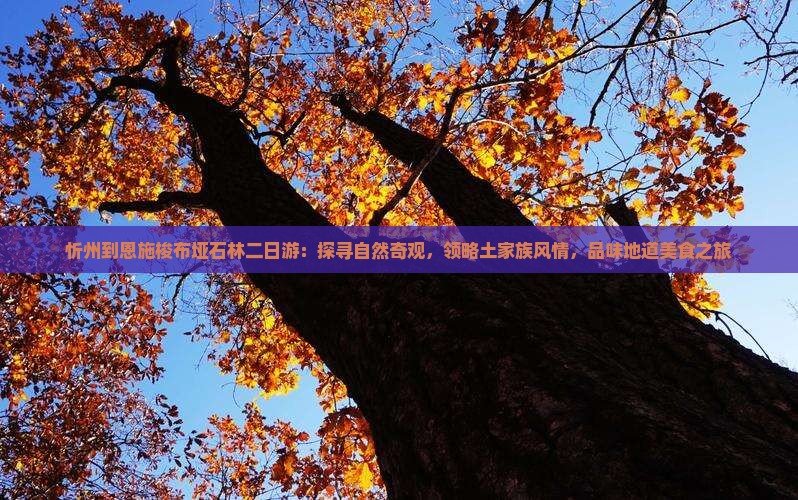 忻州到恩施梭布垭石林二日游：探寻自然奇观，领略土家族风情，品味地道美食之旅