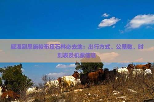 威海到恩施梭布垭石林必去地：出行方式、公里数、时刻表及机票信息