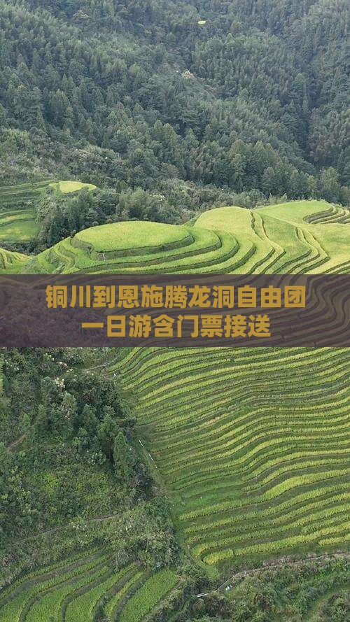 铜川到恩施腾龙洞自由团一日游含门票接送
