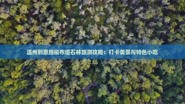 温州到恩施梭布垭石林旅游攻略：打卡美景与特色小吃