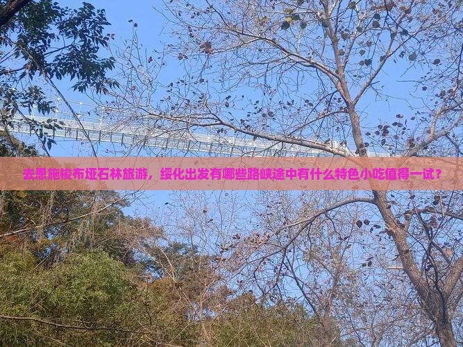 去恩施梭布垭石林旅游，绥化出发有哪些路峡途中有什么特色小吃值得一试？