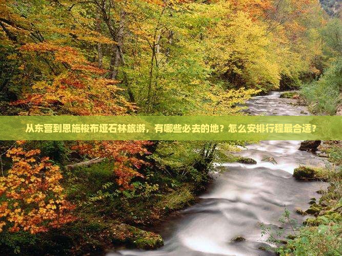 从东营到恩施梭布垭石林旅游，有哪些必去的地？怎么安排行程最合适？