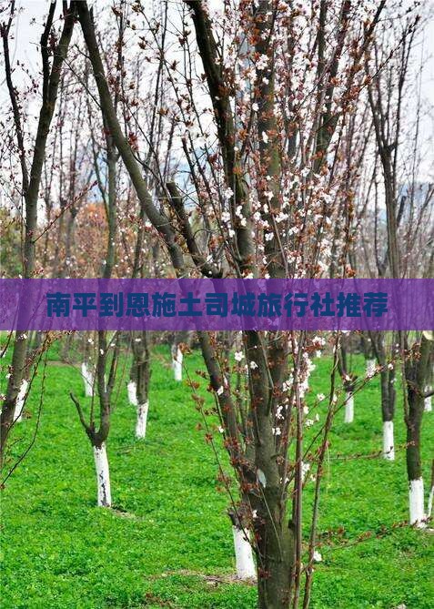 南平到恩施土司城旅行社推荐