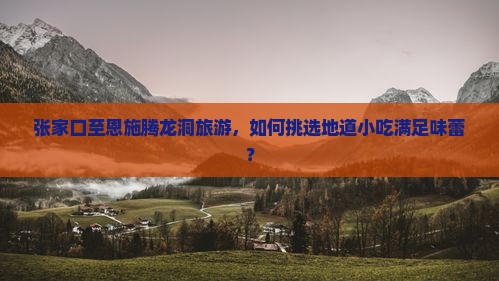 张家口至恩施腾龙洞旅游，如何挑选地道小吃满足味蕾？